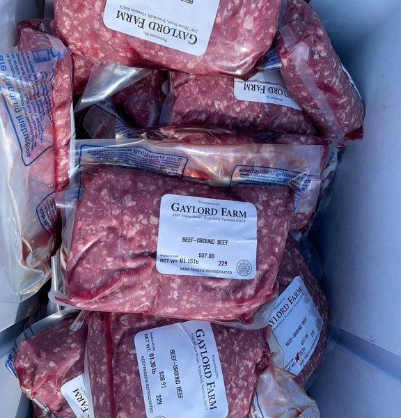 Bull in barn with chicken