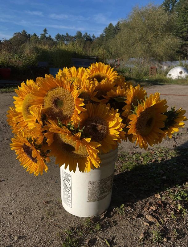 Plan set for green building principles