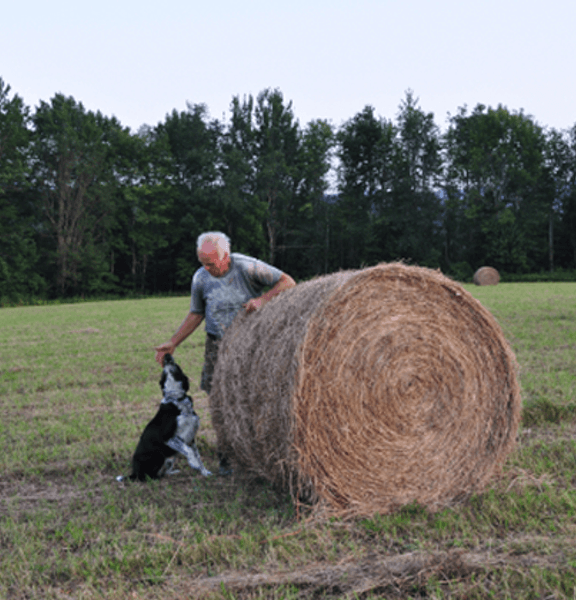 Farmers harvesting