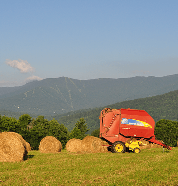Greenhouse with landscape