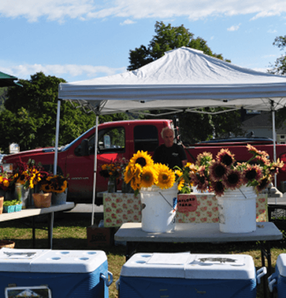 Market stand with vegetables