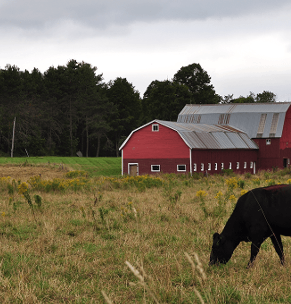 Packaged meat products