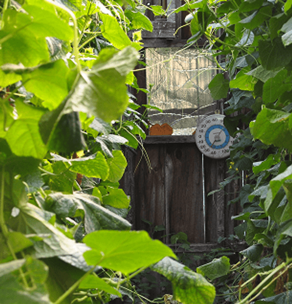 Farm family with dog