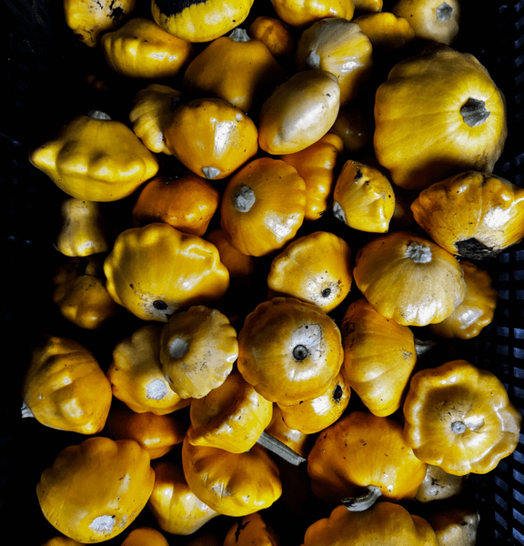 Packaged meat products